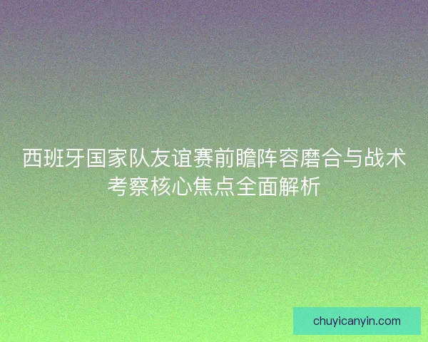 西班牙国家队友谊赛前瞻阵容磨合与战术考察核心焦点全面解析