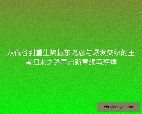 从低谷到重生樊振东隐忍与爆发交织的王者归来之路再启新章续写辉煌